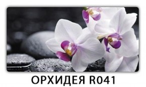 Обеденный стол Паук с фотопечатью узор Плита Р413 в Нижнекамске - nizhnekamsk.ok-mebel.com | фото 21