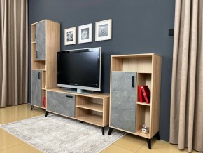 ОСКАР TRIO Гостиная (дуб золотой/каспий темный) в Нижнекамске - nizhnekamsk.ok-mebel.com | фото 3