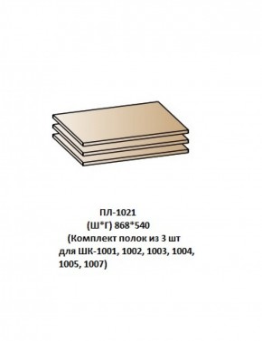 ПЛ-1021 (Комплект полок из 3 шт для ШК-1001, 1002, 1003, 1004, 1005, 1007) в Нижнекамске - nizhnekamsk.ok-mebel.com | фото