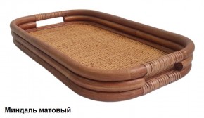 Поднос 21/04 в Нижнекамске - nizhnekamsk.ok-mebel.com | фото 4