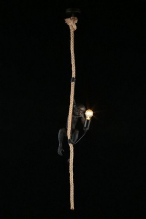 Подвесной светильник Aployt Magali APL.309.16.01 в Нижнекамске - nizhnekamsk.ok-mebel.com | фото 3