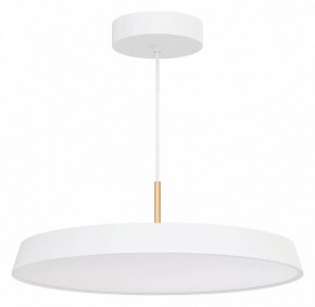 Подвесной светильник Arlight ELEGANT 033925(1) в Нижнекамске - nizhnekamsk.ok-mebel.com | фото 2