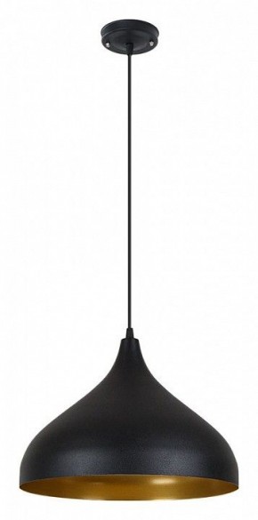 Подвесной светильник Arte Lamp Carmel A7076SP-1BK в Нижнекамске - nizhnekamsk.ok-mebel.com | фото 2