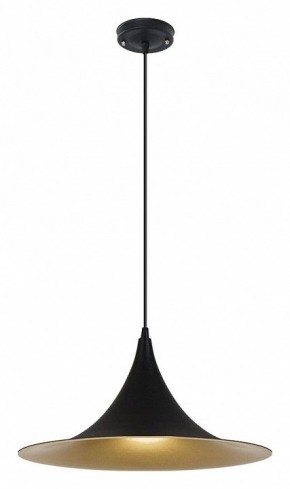 Подвесной светильник Arte Lamp Carmel A7080SP-1BK в Нижнекамске - nizhnekamsk.ok-mebel.com | фото 2