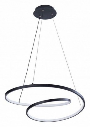 Подвесной светильник Arte Lamp Millo A3893SP-30BK в Нижнекамске - nizhnekamsk.ok-mebel.com | фото 2