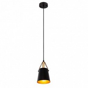 Подвесной светильник Arte Lamp Thomas A7032SP-1BK в Нижнекамске - nizhnekamsk.ok-mebel.com | фото 3