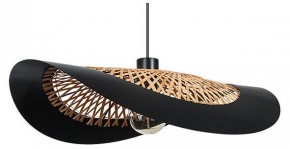 Подвесной светильник Arte Lamp Woodstock A7059SP-1BK в Нижнекамске - nizhnekamsk.ok-mebel.com | фото