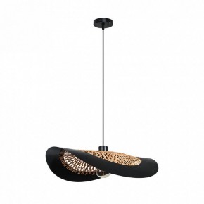 Подвесной светильник Arte Lamp Woodstock A7059SP-1BK в Нижнекамске - nizhnekamsk.ok-mebel.com | фото 2