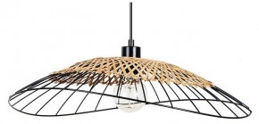Подвесной светильник Arte Lamp Woodstock A7061SP-1BK в Нижнекамске - nizhnekamsk.ok-mebel.com | фото
