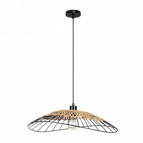 Подвесной светильник Arte Lamp Woodstock A7061SP-1BK в Нижнекамске - nizhnekamsk.ok-mebel.com | фото 2
