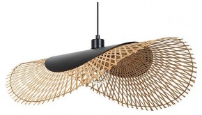 Подвесной светильник Arte Lamp Woodstock A7063SP-1BK в Нижнекамске - nizhnekamsk.ok-mebel.com | фото