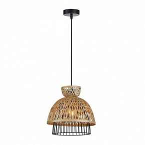 Подвесной светильник Arte Lamp Woodstock A7070SP-1BK в Нижнекамске - nizhnekamsk.ok-mebel.com | фото