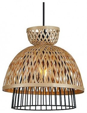 Подвесной светильник Arte Lamp Woodstock A7070SP-1BK в Нижнекамске - nizhnekamsk.ok-mebel.com | фото 2