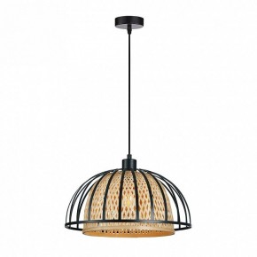Подвесной светильник Arte Lamp Woodstock A7071SP-1BK в Нижнекамске - nizhnekamsk.ok-mebel.com | фото