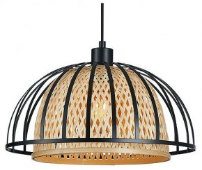 Подвесной светильник Arte Lamp Woodstock A7071SP-1BK в Нижнекамске - nizhnekamsk.ok-mebel.com | фото 2