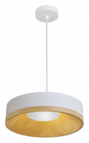 Подвесной светильник Divinare Vaso 5119/33 SP-8 в Нижнекамске - nizhnekamsk.ok-mebel.com | фото 2