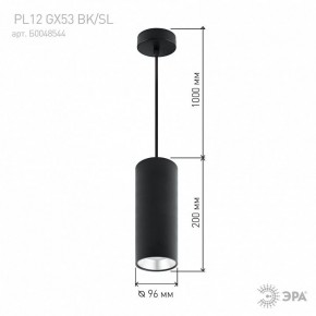 Подвесной светильник Эра  PL12 GX53 BK/SL в Нижнекамске - nizhnekamsk.ok-mebel.com | фото 8