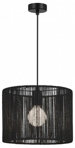 Подвесной светильник EVOLUCE ETTAN SLE6024-403-01 в Нижнекамске - nizhnekamsk.ok-mebel.com | фото 2