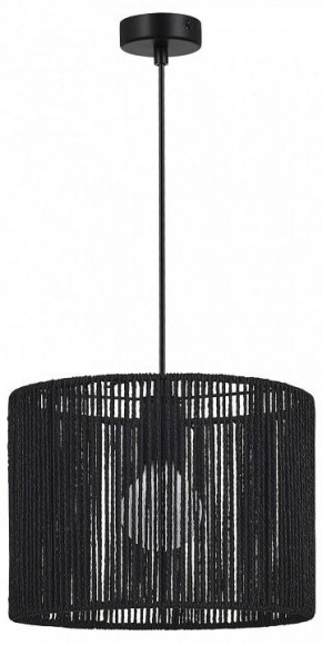 Подвесной светильник EVOLUCE ETTAN SLE6024-403-01 в Нижнекамске - nizhnekamsk.ok-mebel.com | фото 4
