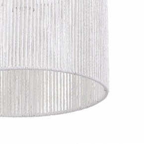 Подвесной светильник EVOLUCE ETTAN SLE6024-503-01 в Нижнекамске - nizhnekamsk.ok-mebel.com | фото 8