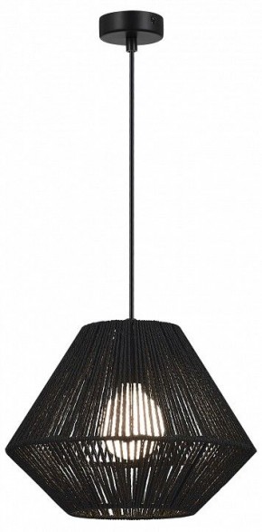Подвесной светильник EVOLUCE ETTAN SLE6025-403-01 в Нижнекамске - nizhnekamsk.ok-mebel.com | фото 2