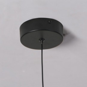 Подвесной светильник Favourite Wilet 4656-1P в Нижнекамске - nizhnekamsk.ok-mebel.com | фото 10