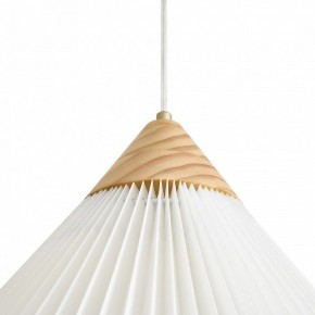 Подвесной светильник Freya Kinsley FR5533PL-01BS1 в Нижнекамске - nizhnekamsk.ok-mebel.com | фото 8