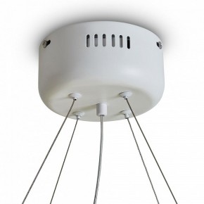 Подвесной светильник Freya Rain FR5546PL-L60W в Нижнекамске - nizhnekamsk.ok-mebel.com | фото 9