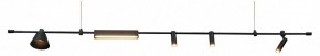 Подвесной светильник Kink Light Ристо 07616-180L,19 в Нижнекамске - nizhnekamsk.ok-mebel.com | фото