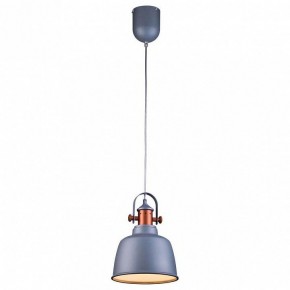 Подвесной светильник Lucia Tucci Industrial INDUSTRIAL 1820.1 SAND SILVER в Нижнекамске - nizhnekamsk.ok-mebel.com | фото 2