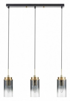 Подвесной светильник Lumion Isha 8101/3A в Нижнекамске - nizhnekamsk.ok-mebel.com | фото 6