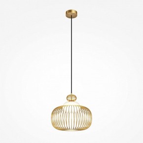 Подвесной светильник Maytoni Levitation MOD376PL-01G в Нижнекамске - nizhnekamsk.ok-mebel.com | фото 2