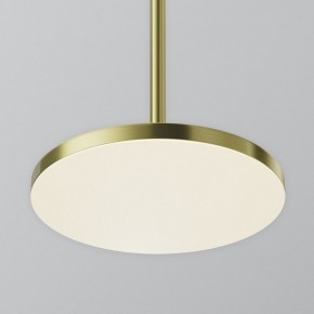 Подвесной светильник Maytoni Plato P076PL-L12W4K-BS в Нижнекамске - nizhnekamsk.ok-mebel.com | фото 7