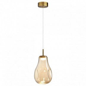 Подвесной светильник Odeon Light Nave 5098/4L в Нижнекамске - nizhnekamsk.ok-mebel.com | фото 2