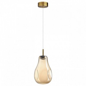 Подвесной светильник Odeon Light Nave 5098/4L в Нижнекамске - nizhnekamsk.ok-mebel.com | фото 4