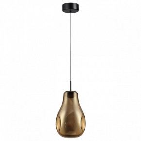 Подвесной светильник Odeon Light Nave 5098/4LA в Нижнекамске - nizhnekamsk.ok-mebel.com | фото 4