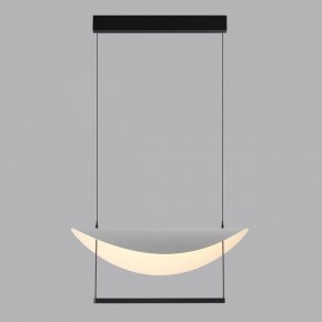 Подвесной светильник Odeon Light Next 7015/20L в Нижнекамске - nizhnekamsk.ok-mebel.com | фото 4