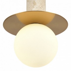 Подвесной светильник ST-Luce Earthy SL1194.303.01 в Нижнекамске - nizhnekamsk.ok-mebel.com | фото 5