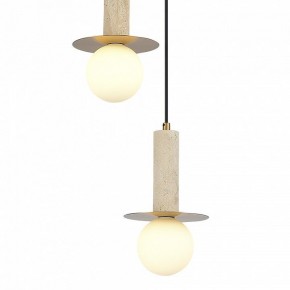 Подвесной светильник ST-Luce Earthy SL1194.303.03 в Нижнекамске - nizhnekamsk.ok-mebel.com | фото 4
