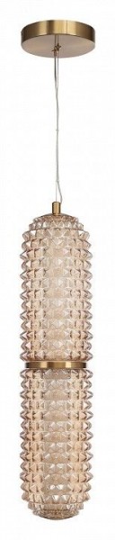 Подвесной светильник ST-Luce SAGUARO SL6144.303.01 в Нижнекамске - nizhnekamsk.ok-mebel.com | фото 3