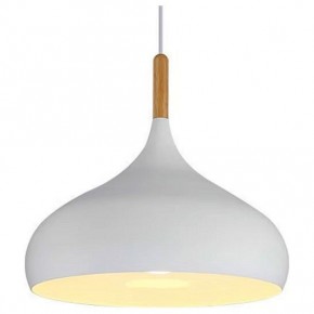 Подвесной светильник TopDecor Molto Molto S1 10 в Нижнекамске - nizhnekamsk.ok-mebel.com | фото