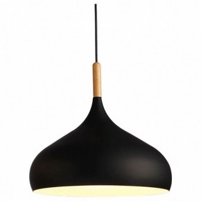 Подвесной светильник TopDecor Molto Molto S1 12 в Нижнекамске - nizhnekamsk.ok-mebel.com | фото