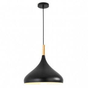Подвесной светильник TopDecor Molto Molto S2 12 в Нижнекамске - nizhnekamsk.ok-mebel.com | фото