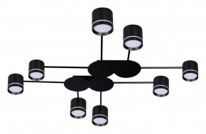 Потолочная люстра Arte Lamp Legacy A8024PL-8BK в Нижнекамске - nizhnekamsk.ok-mebel.com | фото