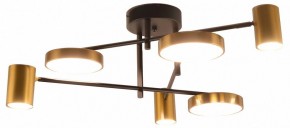 Потолочная люстра Kink Light Рапис 07645-6D,19(20) в Нижнекамске - nizhnekamsk.ok-mebel.com | фото
