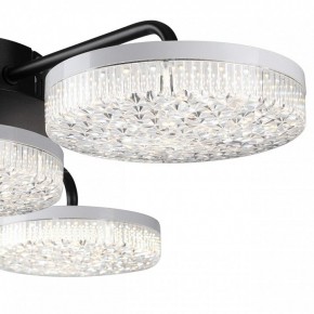 Потолочная люстра Lumion Didana 8236/4CL в Нижнекамске - nizhnekamsk.ok-mebel.com | фото 7
