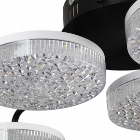 Потолочная люстра Lumion Didana 8236/6CL в Нижнекамске - nizhnekamsk.ok-mebel.com | фото 10