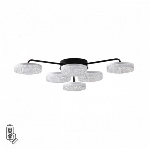 Потолочная люстра Lumion Didana 8236/6CL в Нижнекамске - nizhnekamsk.ok-mebel.com | фото 5