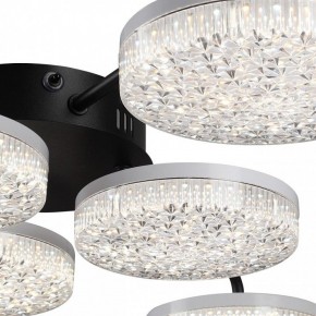 Потолочная люстра Lumion Didana 8236/6CL в Нижнекамске - nizhnekamsk.ok-mebel.com | фото 9