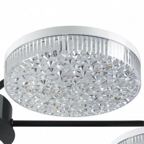 Потолочная люстра Lumion Didana 8236/7CL в Нижнекамске - nizhnekamsk.ok-mebel.com | фото 9